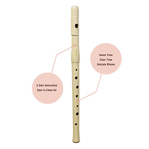 Youngchang Student Fife, For Beginner Flutes And Piccolo Training, 2 Octave More (Yf-Pl80) #TOP2