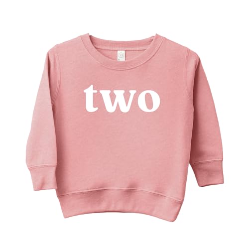 Toddler kids baby boy girl birthday outfit Two Second 2nd Birthday Boy girl Sweatshirt2
