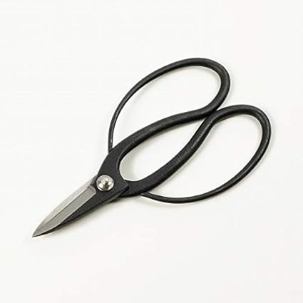 本職愛用品 安来青鋼鍛造 本革仕様 大久保鋏 裏スキ 植木鋏 はさみ 本職愛用品 安来青鋼鍛造 本革仕様 大久保鋏 裏スキ 植木鋏