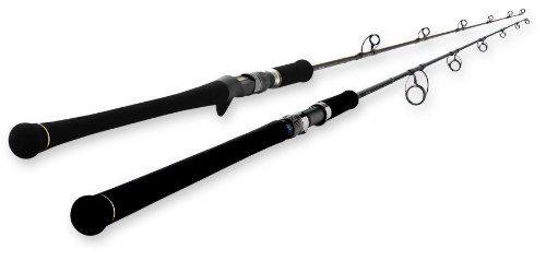 Amazon | 天龍(TENRYU) ロッド ジグザム ディープライダー JDR561S-6