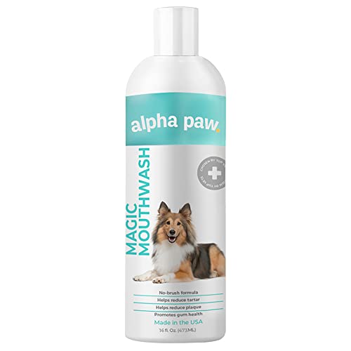 Top 10 Best Dog Mouthwash For 2022 By Our Expert CCE Review