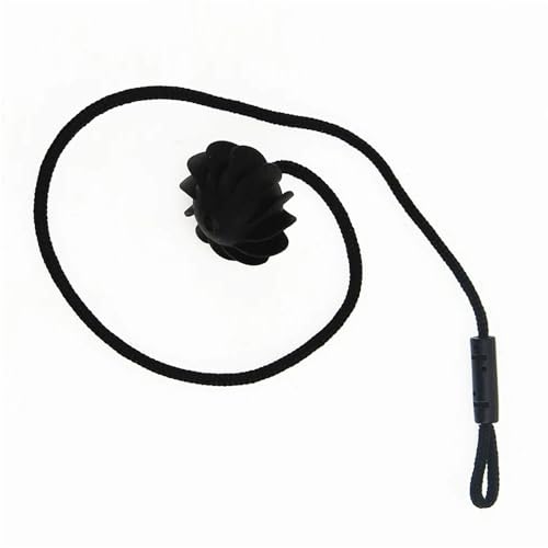 Sangle de fixation de hayon pour tablette arrière de coffre auto VW Rabbit 2006-2009