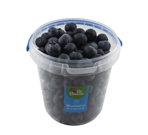 Be Berries Blueberry 500g Zimbabwe/Turkey/Georgia