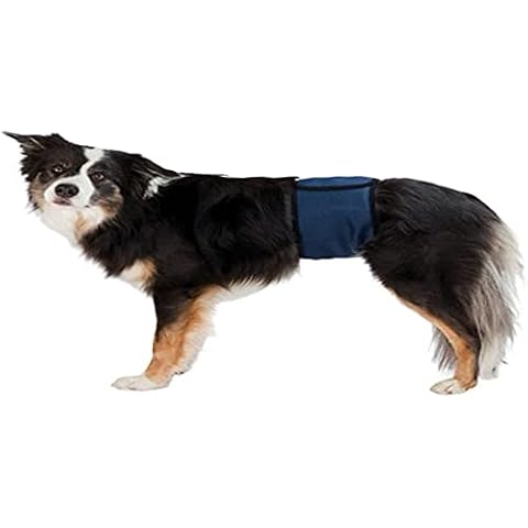 Trixie Banda Abdomen Perros Macho Cover