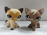 2pcs/Lot Littlest Pet Shop LPS#3573 #1170 Yellow Brown Standing Short Hair Cat