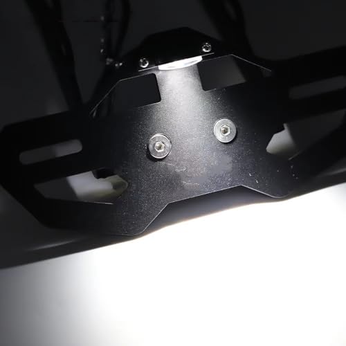 Support de plaque d'immatriculation LED idéal pour vos sorties circuit en BMW M1000RR - 6