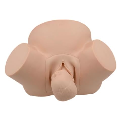 ITSROCK Anatomy Childbirth Simulator Manikin, Childbirth Simulator, Obstetrics and Gynecology Delivery Maternity Manikin for Gynecology Teaching, Medical Fertility Education and Study Cover