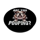 Zoom IMG-1 are you pooping dog english Zoom IMG-1 are you pooping dog english