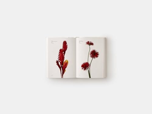 PHAIDON Flower Color Guide