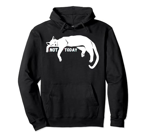 Not Today Lazy Sleepy Nope Cat Kitten Lovers Funny Cute Fun Pullover Hoodie