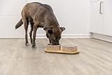 TRIXIE Hundenapf-Set 800 ml Keramik/Bambus - praktischer Fressnapf für kleine und mittelgroße Hunde ø16 cm, robust und spülmaschinenfest – 24829
