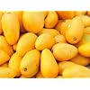 Generic Fresh 2 pcs Mango Fruits zaden voor opplant Geel