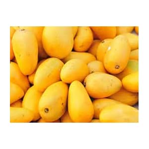 Generic Fresh 2 pcs Mango Fruits zaden voor opplant Geel