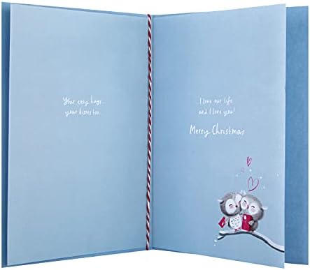 Hallmark Christmas Card for Husband - Cute Illustrated Owls Design