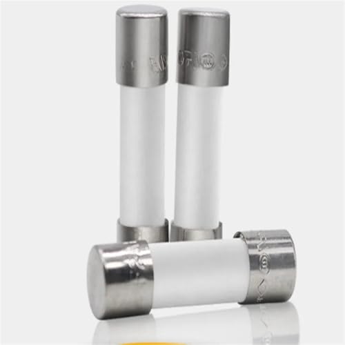 Fusible en céramique 5x20mm 0.25A pour la protection de vos circuits