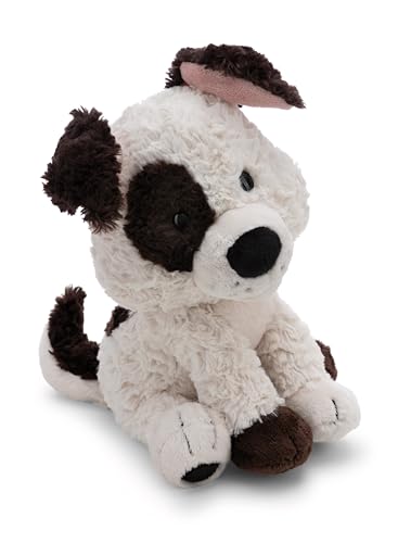 NICI 62145 - Peluche Perro de 25 cm, Blanco, Animal Suave, tierno para abrazar y Jugar, para niños y Adultos, para Regalar