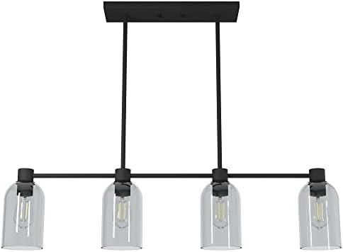 Hunter Fan Company 19715 Lochemeade Chandelier, Natural Iron