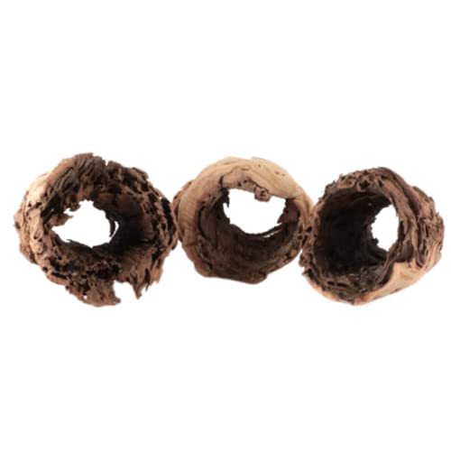 Koyal Wholesale 10" Hollow Grapewood Branch Decor 1Pcs Grapewood Centerpiece Vase Air Plants Sand Blasted Grapevine Wood Untreated Terrarium Wood Driftwood Decor