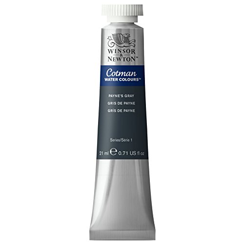 Winsor & Newton Cotman Watercolor Paint, 21ml (0.71-oz) Tube, Payne's Gray