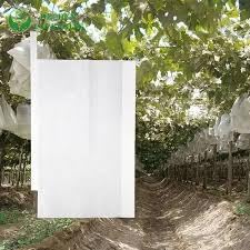 Fruit Protection Paper Bags 10pcs White Protection Cover Bags 6.6X7.8inch, Fruit Bags for Fruit Trees, Orchard, Trees, Frost, Plants