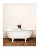 Pug Bathroom Art Poster Print - Funny Cute Unique Bathroom Bathtub Dog Puppy - Single (11x14) Inch Unframed Photos - Pug Wall Decor, Wall Art, Print Picture