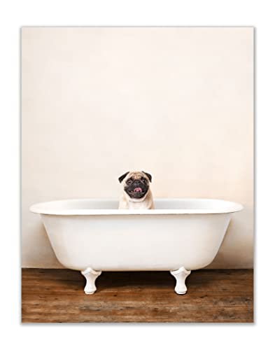 Summit Designs Pug Bathroom Art Poster Print - Funny Cute Unique Bathroom Bathtub Dog Puppy - Single (11X14) Inch Unframed Photos - Pug Wall Decor, Pug Wall Art, Pug Art, Pug Print Picture #TOP17