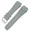 Gray pin buckle