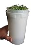 Todd’s Seeds - Seed Sprouting Kit – Easy to Use Sprouting Cup - Complete Seed and Bean Sprout Growing Kit – Seeds not Included #1