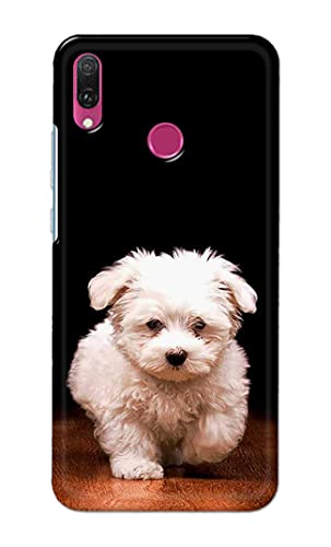 Image of Printed Hard Back Cover Case for Huawei Y6 2019 | Huawei Y6 Prime 2019 Back Cover (Puppy Dog) -203
