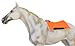 CHALLENGER Horse 28
