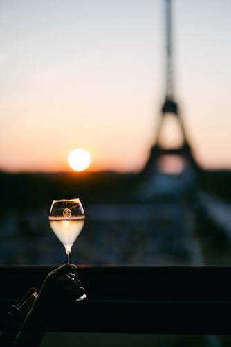 Louis Roederer Champagne Collection 245 Genuss zu Zweit - Geschenkset 1 Flasche + 2 Gläser - Brut Champagner (1 x 0.75 l)