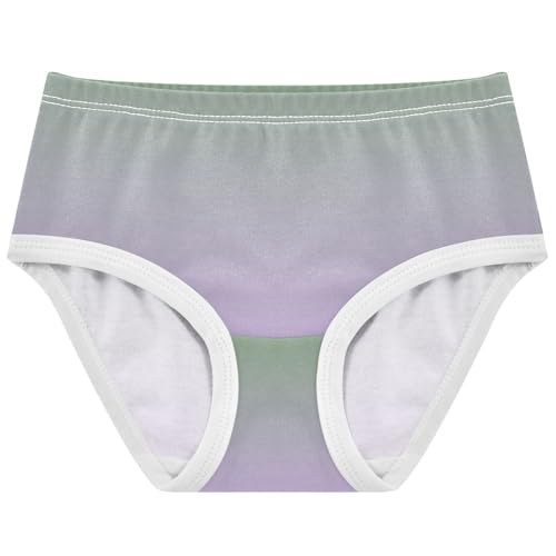 Joisal Florals Girls Underwear Toddlers 2t Cotton Little Girl Panties Dinosaur Green Mauve Gradient Kids Undies Briefs
