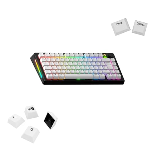 Touches GPBT Basics en PBT pour réparer un clavier usé ou effacé