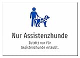 Nur Assistenzhunde - Zutritt nur für Assistenzhunde erlaubt. – Aluminiumschild A4: 297x210mm – Mit Grafik und Text