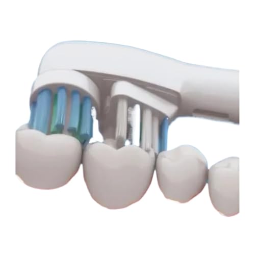 4 �s�[�X/�p�b�N�����p�u���V�w??�b�h Oral-B �f���A���N���[���d�����u���V Oralb Pro�A1000�A8000�A9000�A��l�A�q���A���͂ȂǂɑΉ�