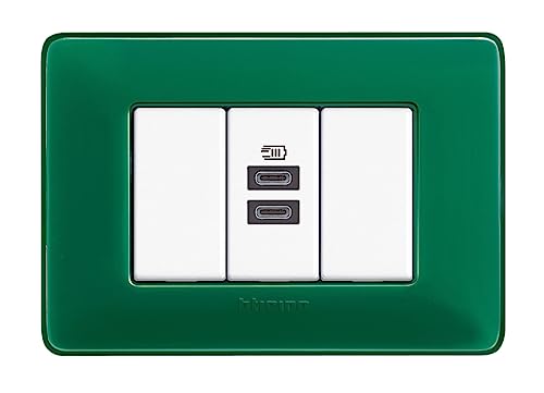 Bticino USB-Ladegerät mit Zwei Eingängen des Typs C, zum Installieren in der Matix-Platte, zum Aufladen eines elektronischen Geräts mit bis zu 15 W oder Zwei gleichseitigen Geräten, 1-Sitzer, Weiß