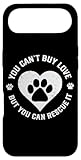 Lucky Foster Dog Mama
