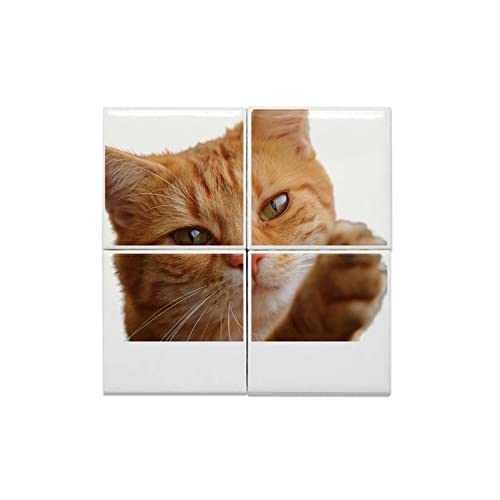 Carreaux céramique chat roux poil long créent une ambiance chaleureuse dans votre cuisine