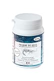 Bubimex - Poudre de Krill - Complément Alimentaire 100% Naturel pour Chiens et Chats - Riche en Oméga 3 et 6 - Astaxantine - Beauté du Pelage, Mobilité et Système Immunitaire - 60g