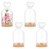 Base en bois: Nos bocaux en verre ronds sont livrés avec une base en bois. Le dos de la base est lisse et plat, afin que le produit fini puisse être placé de manière stable sur la table. Pendant ce temps, il peut efficacement empêcher la poussière de pénétrer et mieux protéger les objets exposés