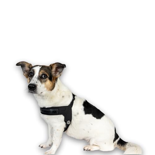 Max & Molly Q-Fit Hundegeschirr Kleine Hunde mit Gotcha! Smart ID Sicherheitsanhänger, Matrix 2.0 Schwarz/XS, Geschirr Hund Gepolstert & Reflektierend - Komfort für deinen treuen Begleiter