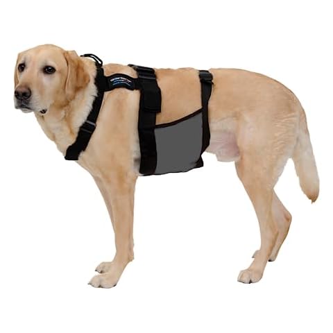 Glacier Tek ChillyDog K-9 Cooling Vest with 4 Cooling Packs. Maintains 59°F for up to 2.5 Hours in 100°F Heat. Cover
