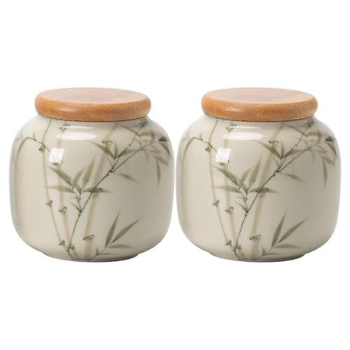 PRETYZOOM 1 Juego Lata De Té De Espárragos Frascos De Café Frascos De Boticario Recipiente De Té De Porcelana Tarro De Galletas Frascos De Condimentos De Cerámica Pequeño Recipiente 2 piezas