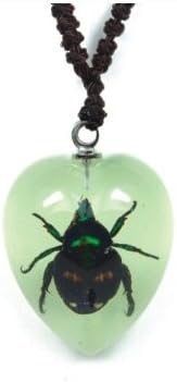 Real Insect Necklace Lucky Bean Chafer Beetle- Glows (Small)