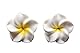 Miniblings Frangipani Blumen Ohrstecker Stecker Pulmera Surfing Blume Sommer weiß - Handmade Modeschmuck | Ohrringe Stecker Ohrschmuck