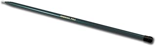 16-ft. Telescoping Pole