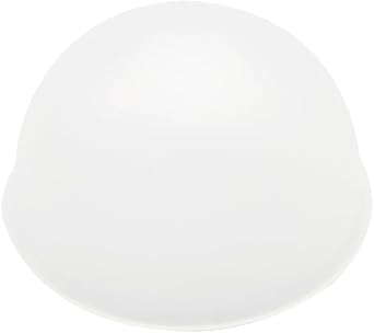 Paul C. Buff Dome Cover for Einstein Flash Unit