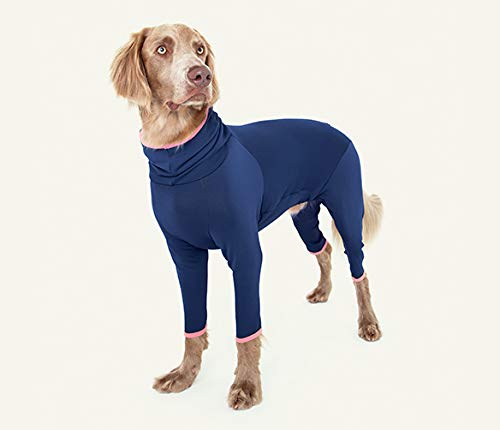 Alphaicon HOT DOG GUARD COCOA ML ネイビー アルファアイコン HOT DOG GUARD - ドッグデコ | 犬と人の健やか