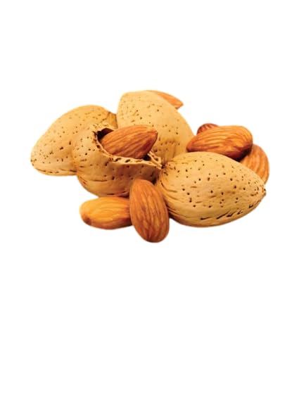 GOJI Kashmiri Kagzi Special Mamra Almonds Withshell (Kashmiri Soft Shell Mamra Badam) 1Kg Pack, Dry Fruit (B0CH3D5SNR) Amazon Price History, Amazon Price Tracker