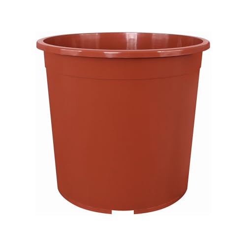 Erhard-Trading Pot de fleurs en terre cuite - Toutes tailles (24 cm)